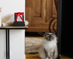 Boîte à roses éternelles personnalisée - Message|Cadeaux.com New