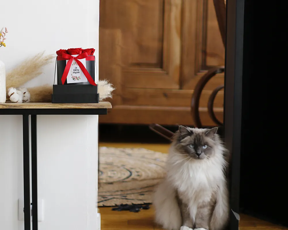 Boîte à roses éternelles personnalisée - Message|Cadeaux.com New