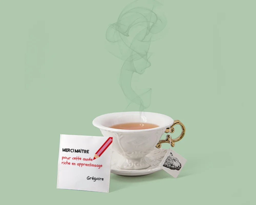 Boîte de 10 sachets de thé bio personnalisables - Merci Maîtresse, Maître et ATSEM|Cadeaux.com