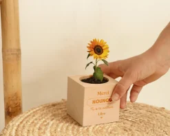 Ecocube personnalisé - L'Ecole est Finie|Cadeaux.com Clearance