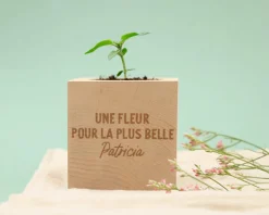 Ecocube personnalisé - Message|Cadeaux.com Discount