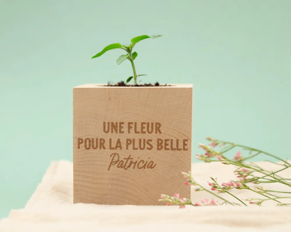 Ecocube personnalisé - Message|Cadeaux.com Discount