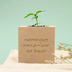 Ecocube personnalisé - Mots d'enfants pour maitresse|Cadeaux.com Sale