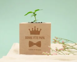 Ecocube personnalisé - Papa Royal|Cadeaux.com Clearance