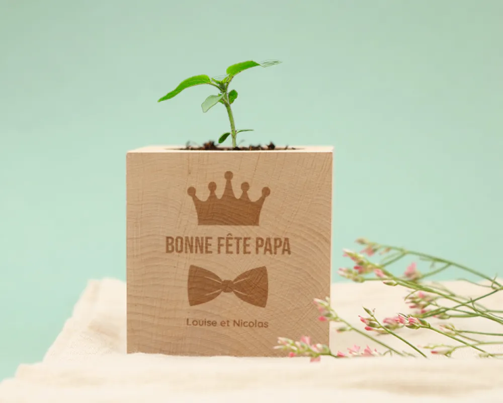 Ecocube personnalisé - Papa Royal|Cadeaux.com Clearance