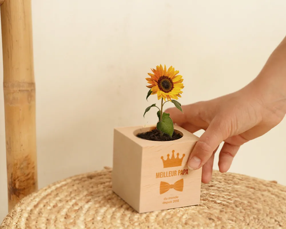 Ecocube personnalisé - Papa Royal|Cadeaux.com Clearance