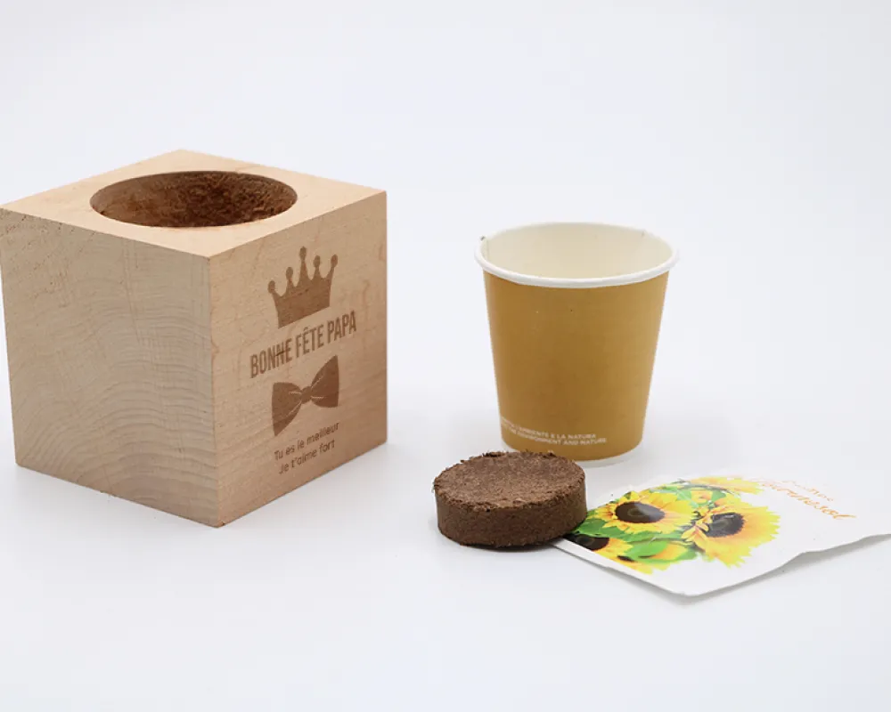 Ecocube personnalisé - Papa Royal|Cadeaux.com Clearance