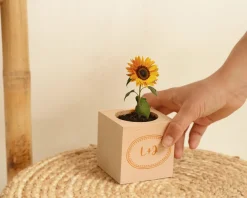 Ecocube personnalisé - Prénom|Cadeaux.com Sale