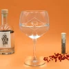 Kit de fabrication de gin avec un verre personnalisé|Cadeaux.com Outlet