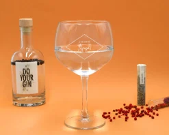 Kit de fabrication de gin avec un verre personnalisé|Cadeaux.com Outlet