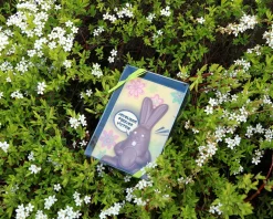 Lapin de Pâques en chocolat personnalisable|Cadeaux.com