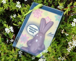 Lapin de Pâques en chocolat personnalisable|Cadeaux.com