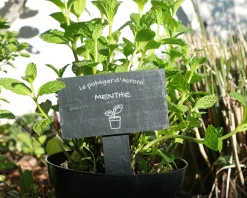 Mini-ardoise pour plante personnalisable - Potager|Cadeaux.com Hot