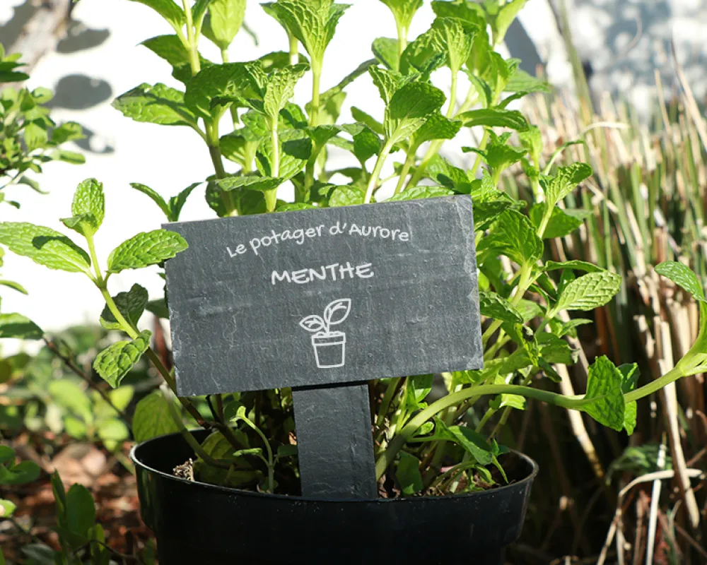 Mini-ardoise pour plante personnalisable - Potager|Cadeaux.com Hot