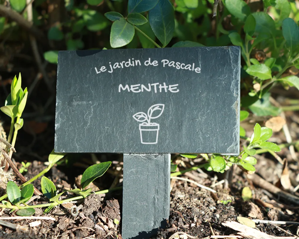 Mini-ardoise pour plante personnalisable - Potager|Cadeaux.com Hot