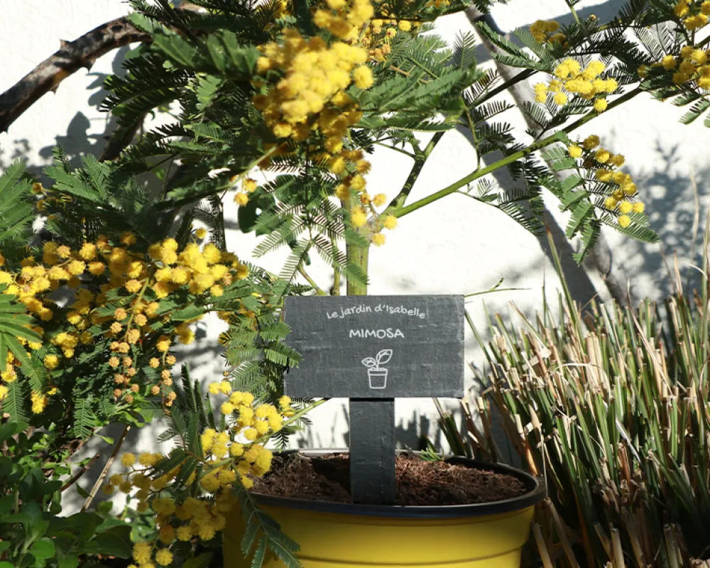 Mini-ardoise pour plante personnalisable - Potager|Cadeaux.com Hot