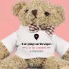 Ours en peluche personnalisable - Là où tout a commencé|Cadeaux.com
