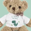 Ourson en peluche personnalisable - Dinosaure|Cadeaux.com New