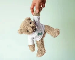 Ourson en peluche personnalisable - Dinosaure|Cadeaux.com New