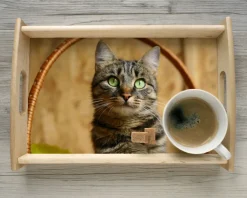 Plateau photo|Cadeaux.com Online