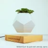 Pot de fleur en lévitation personnalisable|Cadeaux.com Online