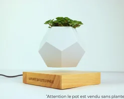 Pot de fleur en lévitation personnalisable|Cadeaux.com Online