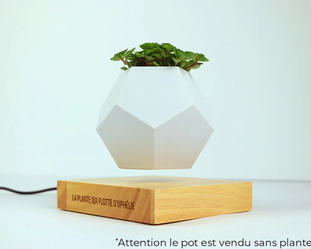 Pot de fleur en lévitation personnalisable|Cadeaux.com Online