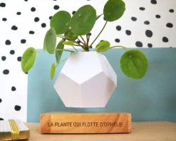 Pot de fleur en lévitation personnalisable|Cadeaux.com Online