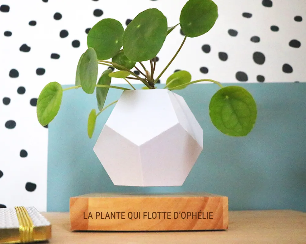 Pot de fleur en lévitation personnalisable|Cadeaux.com Online