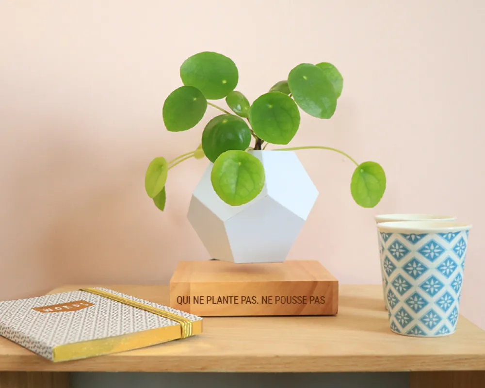 Pot de fleur en lévitation personnalisable|Cadeaux.com Online
