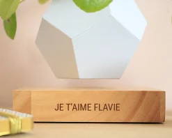 Pot de fleur en lévitation personnalisable|Cadeaux.com Online