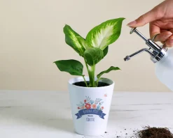 Pot de fleurs personnalisé - Mamie fleurie|Cadeaux.com Best