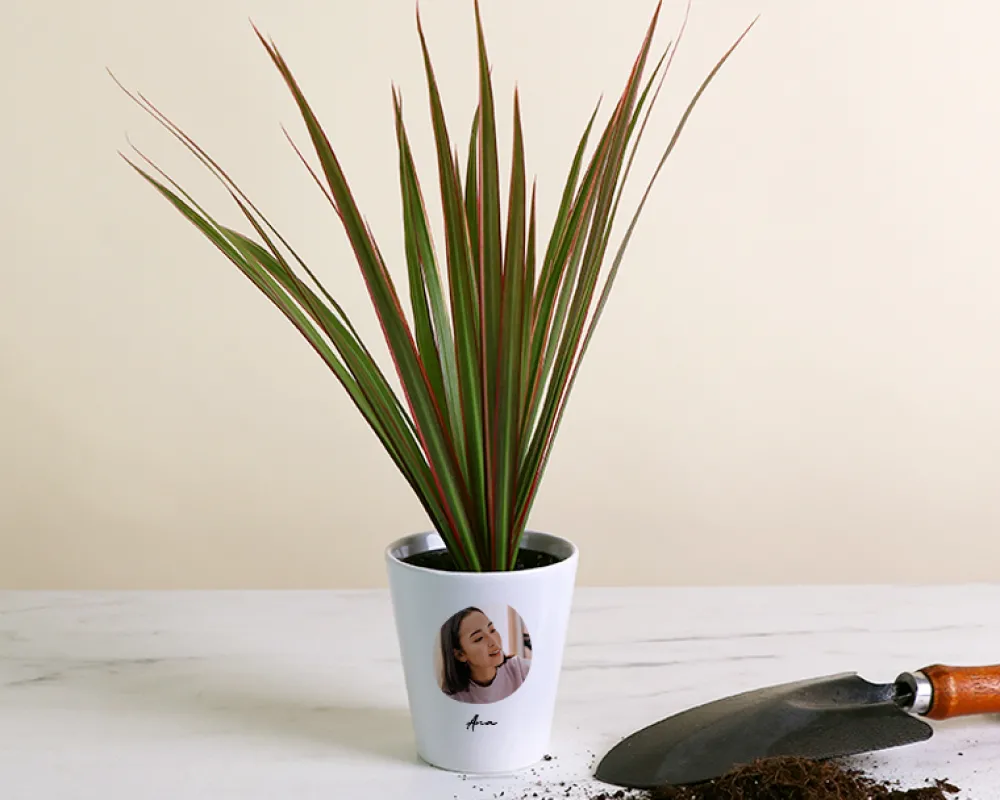 Pot de fleurs personnalisé - Photo|Cadeaux.com Online