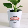 Pot de fleurs personnalisé - Merci Maîtresse|Cadeaux.com Clearance
