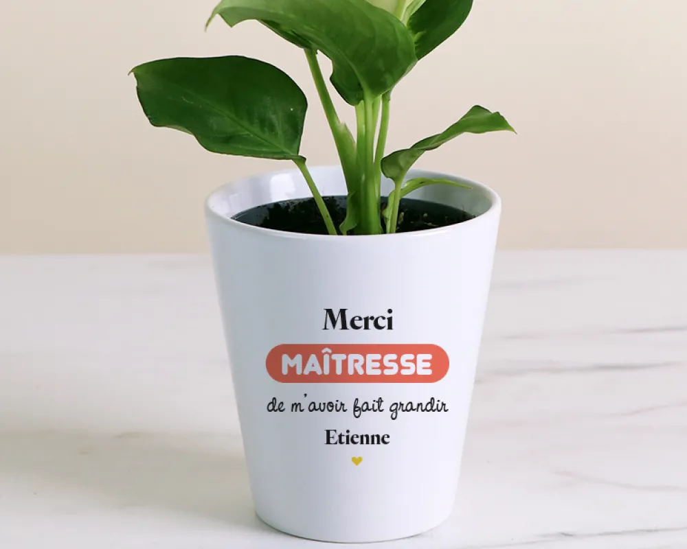 Pot de fleurs personnalisé - Merci Maîtresse|Cadeaux.com Clearance