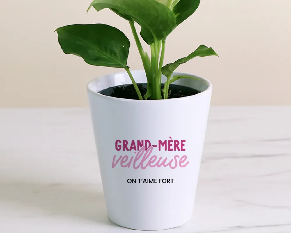 Pot de fleurs personnalisé - Grand mère-veilleuse|Cadeaux.com Sale
