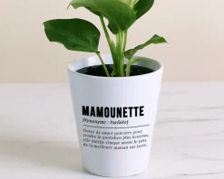Pot de fleurs personnalisé - Définition Maman|Cadeaux.com New