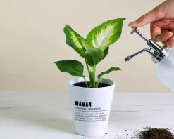 Pot de fleurs personnalisé - Définition Maman|Cadeaux.com New