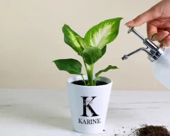 Pot de fleurs personnalisé - Monogramme|Cadeaux.com Online