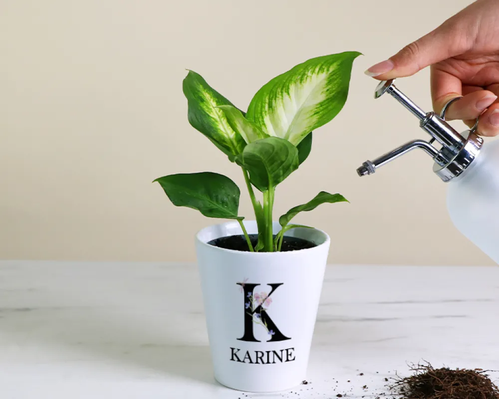 Pot de fleurs personnalisé - Monogramme|Cadeaux.com Online