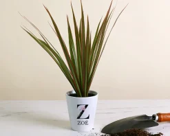 Pot de fleurs personnalisé - Monogramme|Cadeaux.com Online