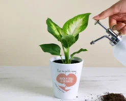 Pot de fleurs personnalisable - C'est pour ça qu'on t'aime|Cadeaux.com Sale