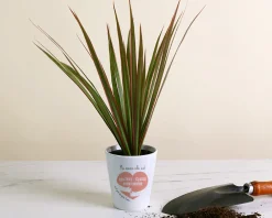 Pot de fleurs personnalisable - C'est pour ça qu'on t'aime|Cadeaux.com Sale