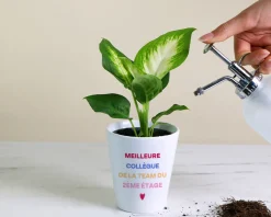 Pot de fleurs personnalisé - Message|Cadeaux.com