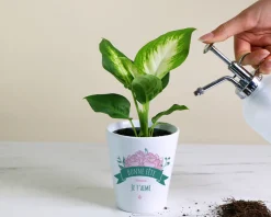 Pot de fleurs personnalisable - Collection Maman fleurie|Cadeaux.com Discount