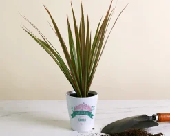 Pot de fleurs personnalisable - Collection Maman fleurie|Cadeaux.com Discount