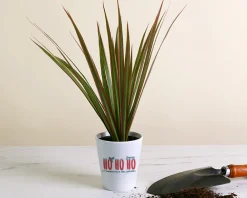 Pot de fleurs personnalisé - Collection Hohoho !|Cadeaux.com Online