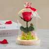 Rose éternelle sous cloche lumineuse avec carte personnalisée|Cadeaux.com Hot