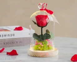 Rose éternelle sous cloche lumineuse avec carte personnalisée|Cadeaux.com Hot