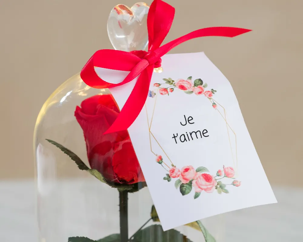 Rose éternelle sous cloche lumineuse avec carte personnalisée|Cadeaux.com Hot